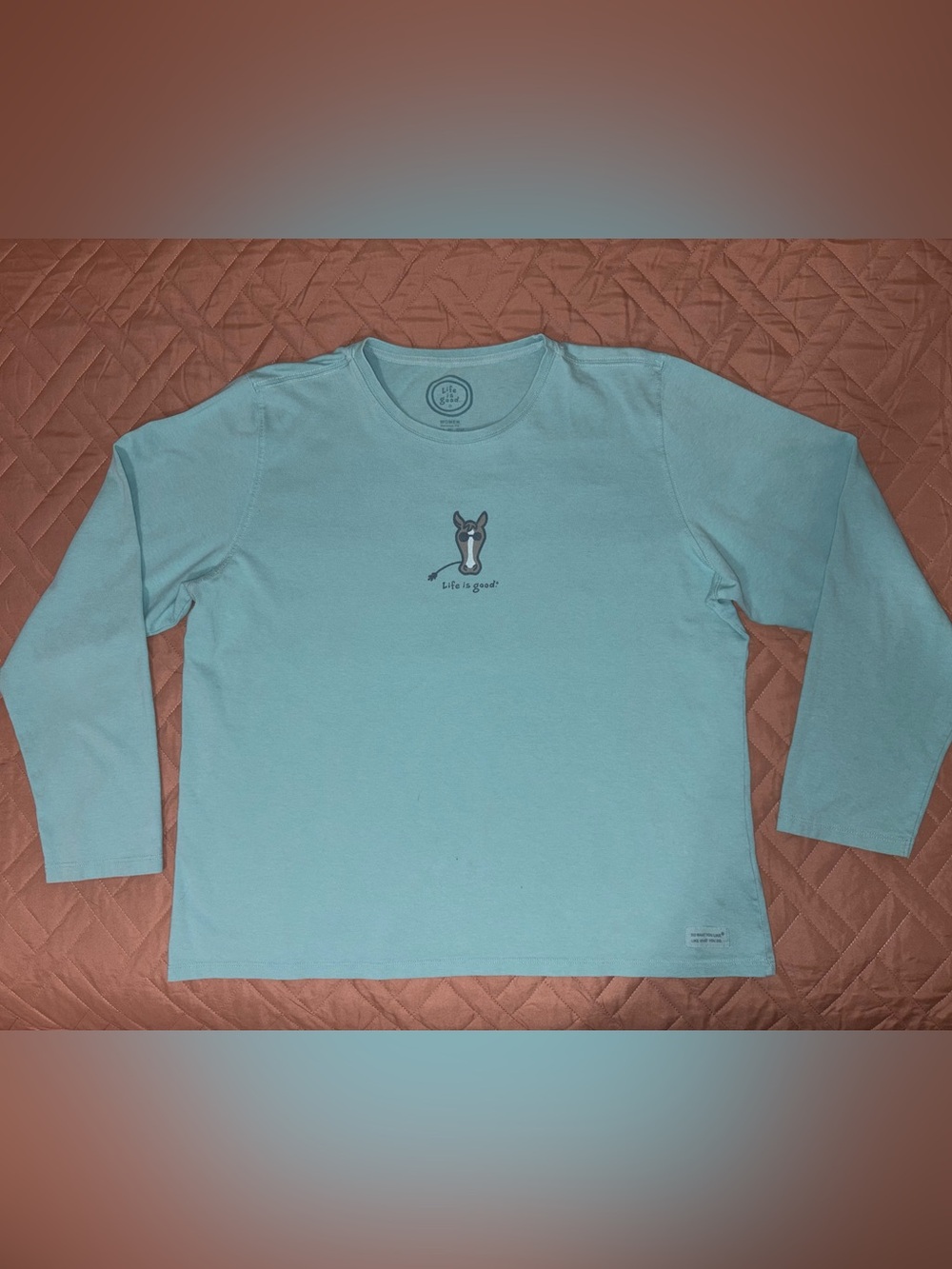Life Is Good Horse Tee Aqua Teal Turquoise Long Sleeve Ladies XL - Picture 2 of 11